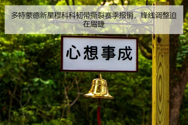多特蒙德新星穆科科韧带撕裂赛季报销，锋线调整迫在眉睫